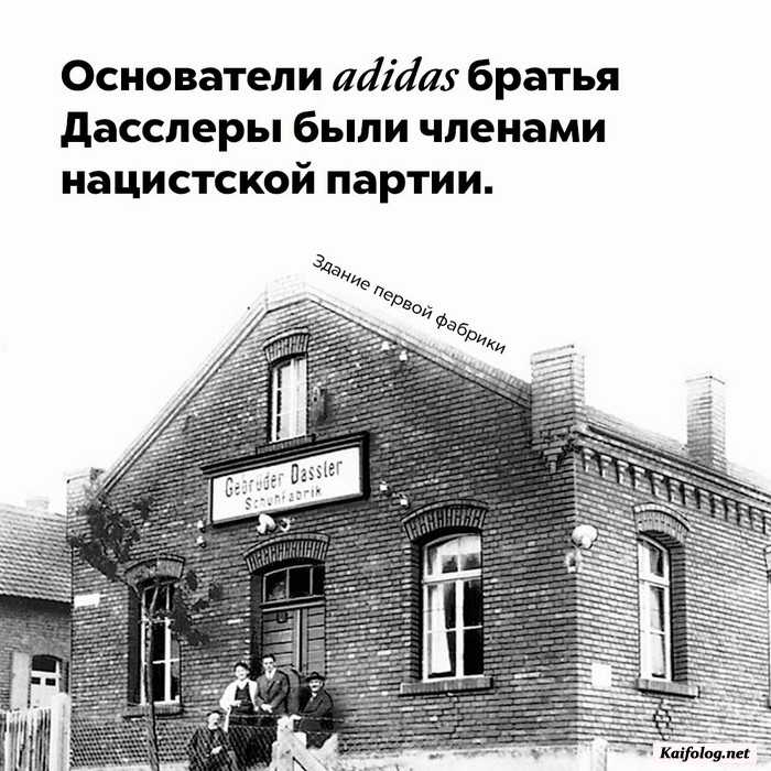факт картинка
