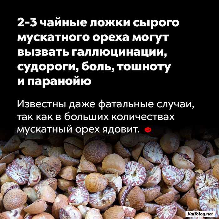 факт картинка