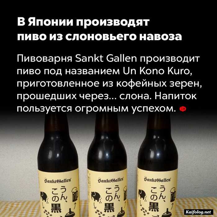 факт картинка