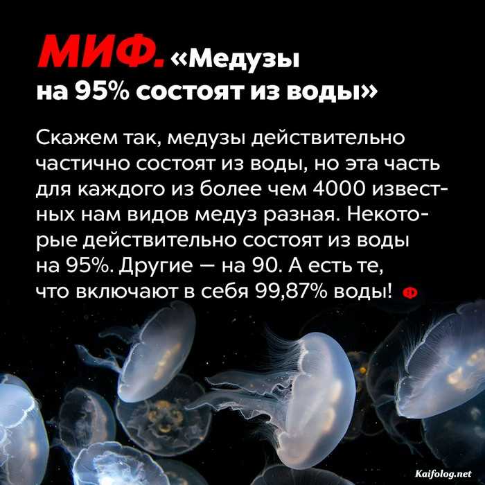 факт картинка