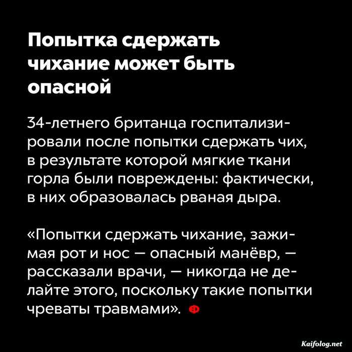 факт картинка
