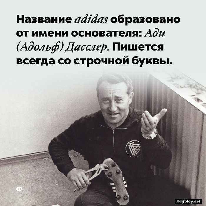 факт картинка