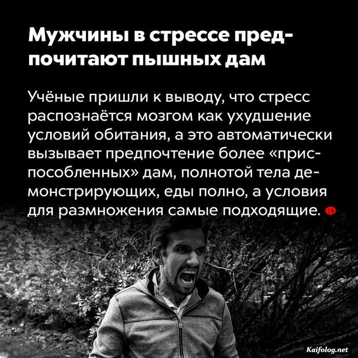 занимательный факт