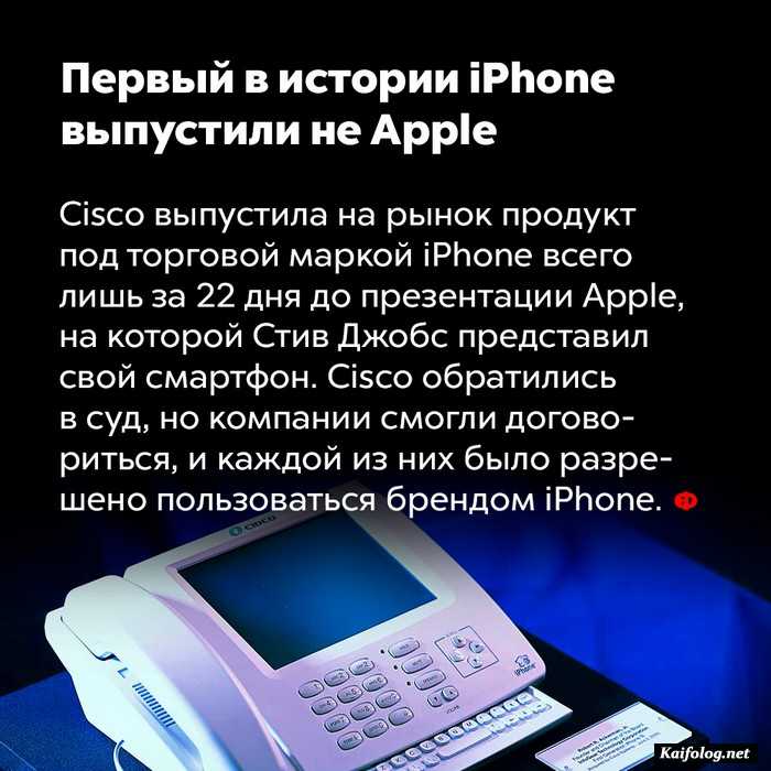 занимательный факт