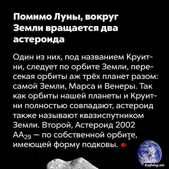 занимательный факт