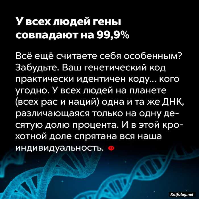 занимательный факт