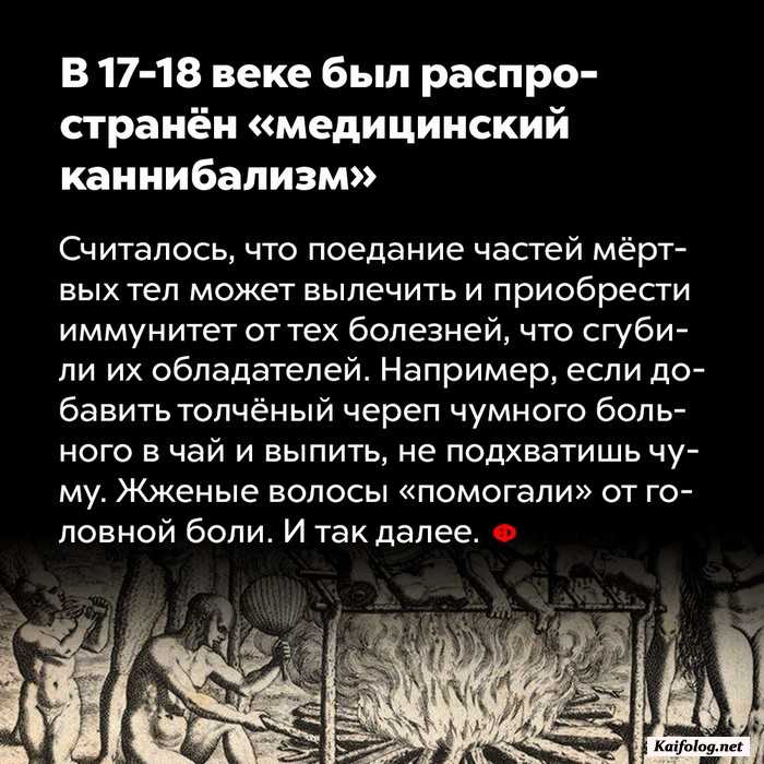 занимательный факт