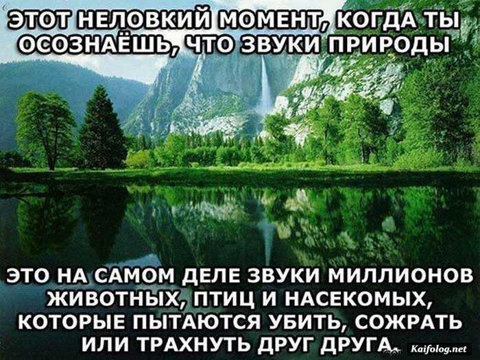 смешная картинка с надписью