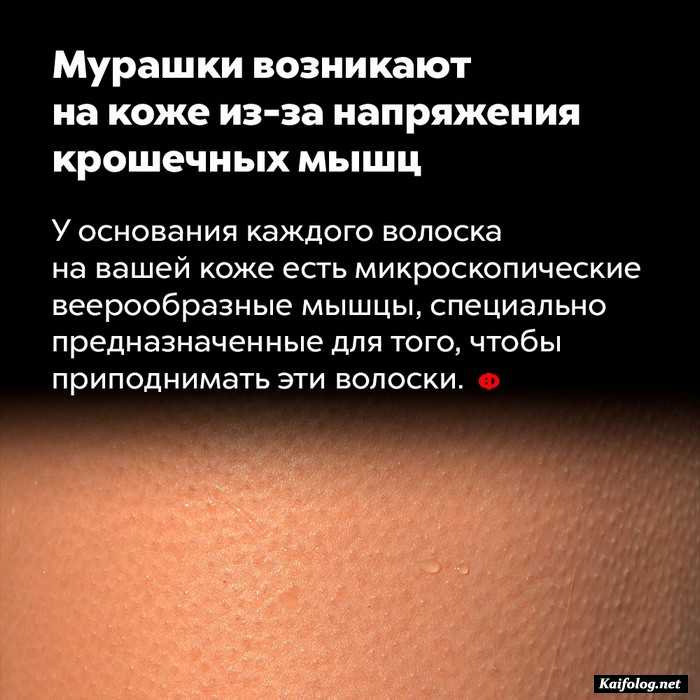 интересный факт