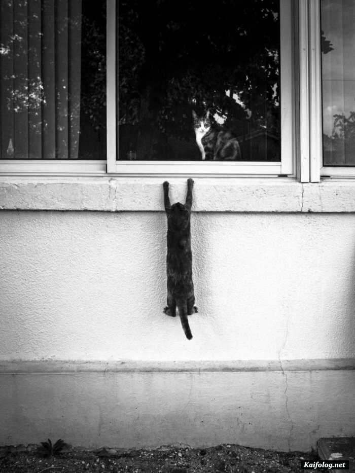 фото прикол