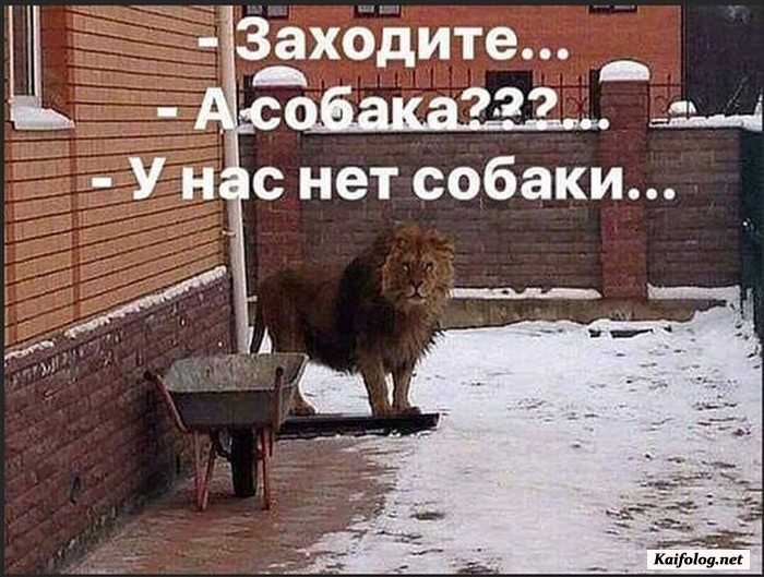 фото прикол