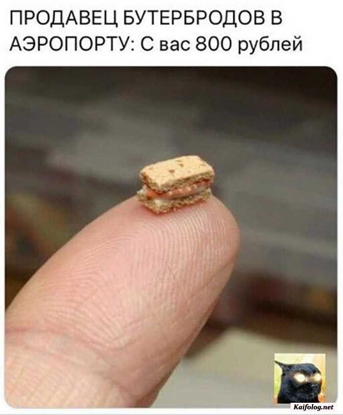 фото прикол