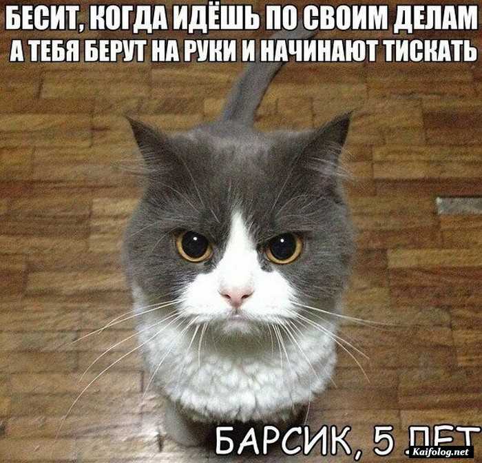 фото прикол