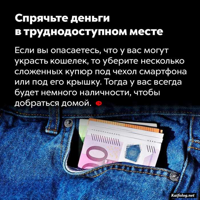 факт интересно картинка