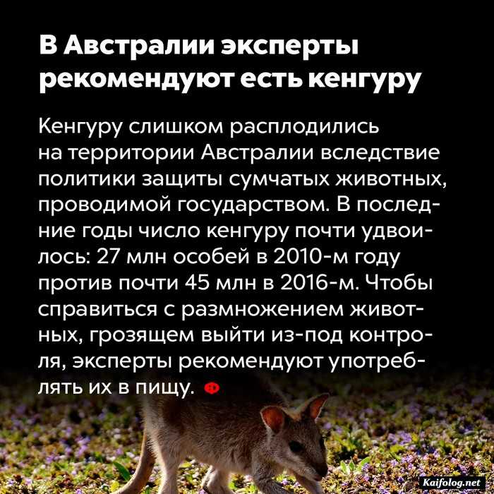 факт интересно картинка