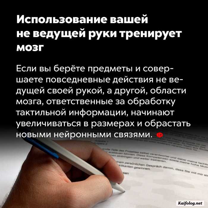 факт интересно картинка