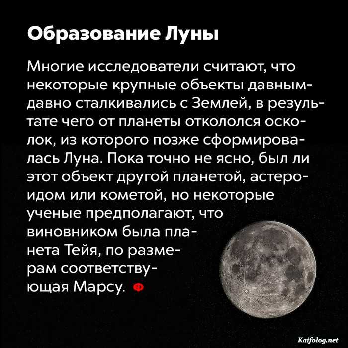 факт интересно картинка