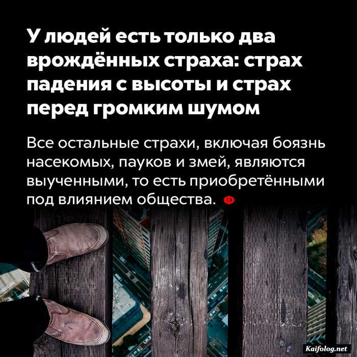 факт интересно