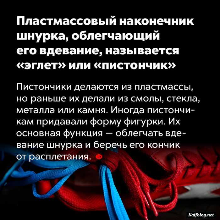 факт интересно
