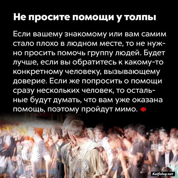 факт интересно