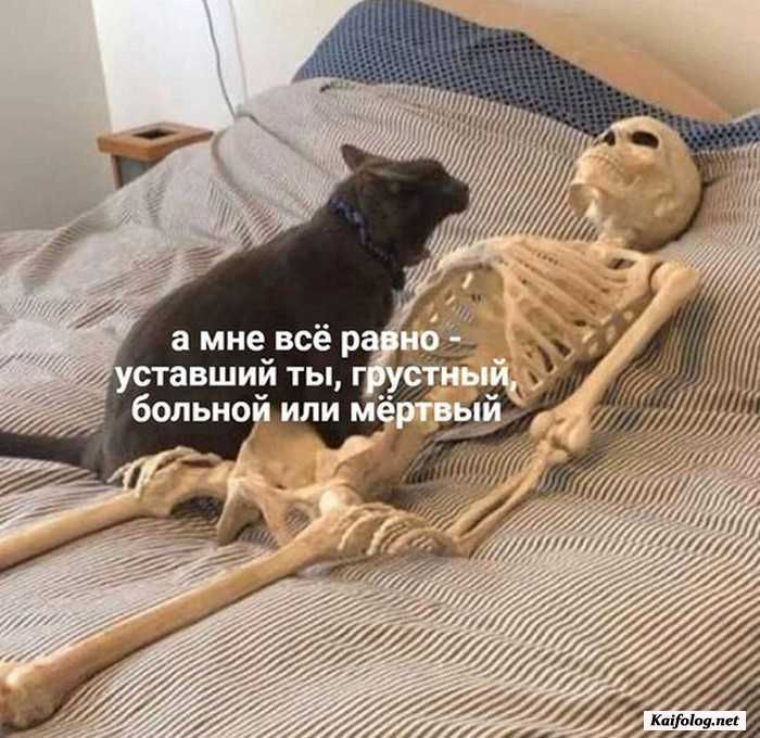 картинка с надписью смешно