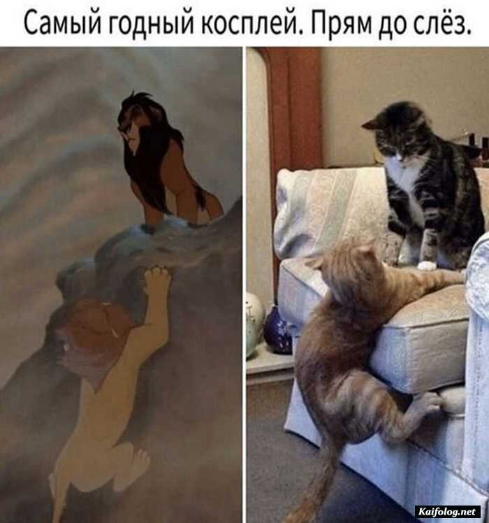 картинка с надписью смешно