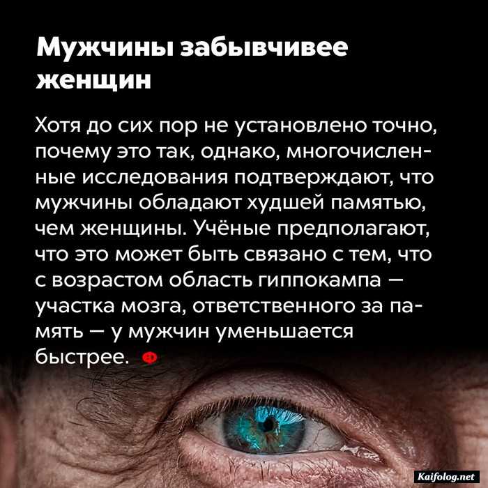 факт интересный