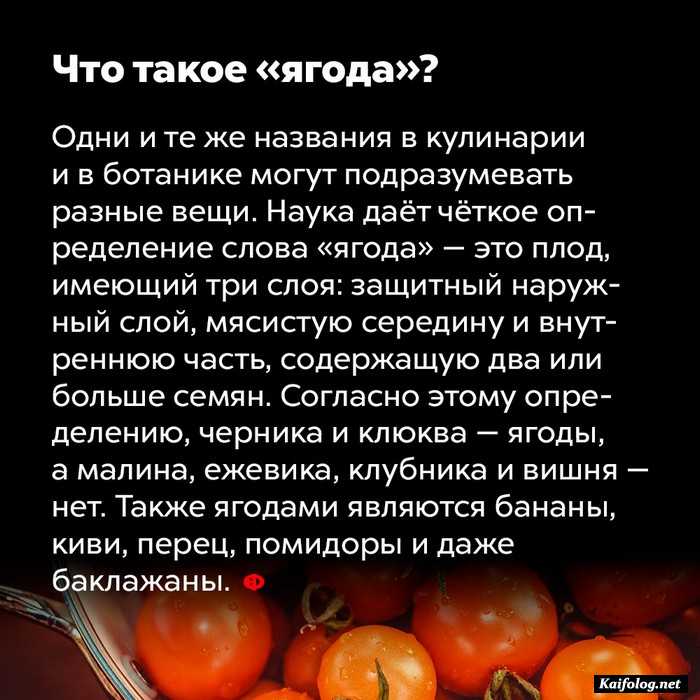 факт интересный