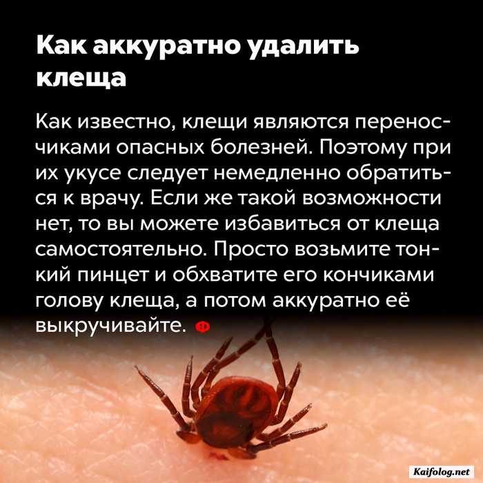 факт интересный