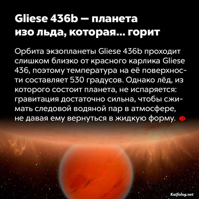 факт интересный