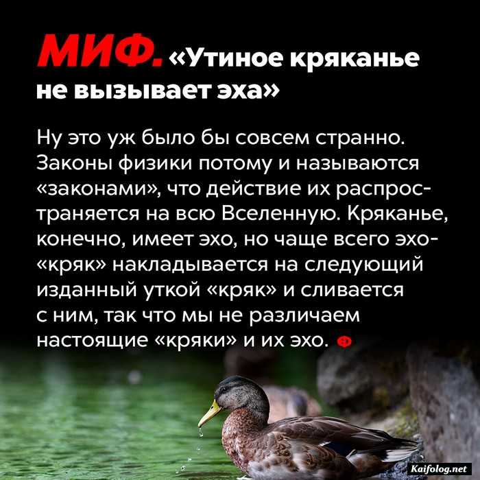 факт интересный