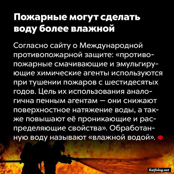 факт интересный