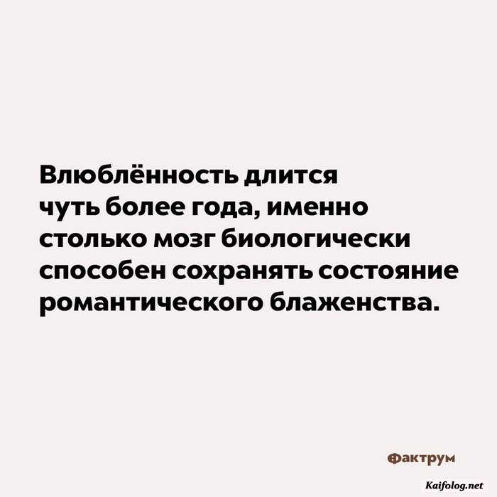 факт интересный