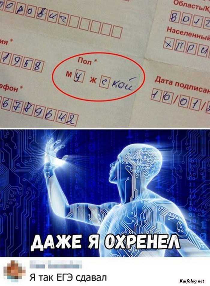прикол картинка