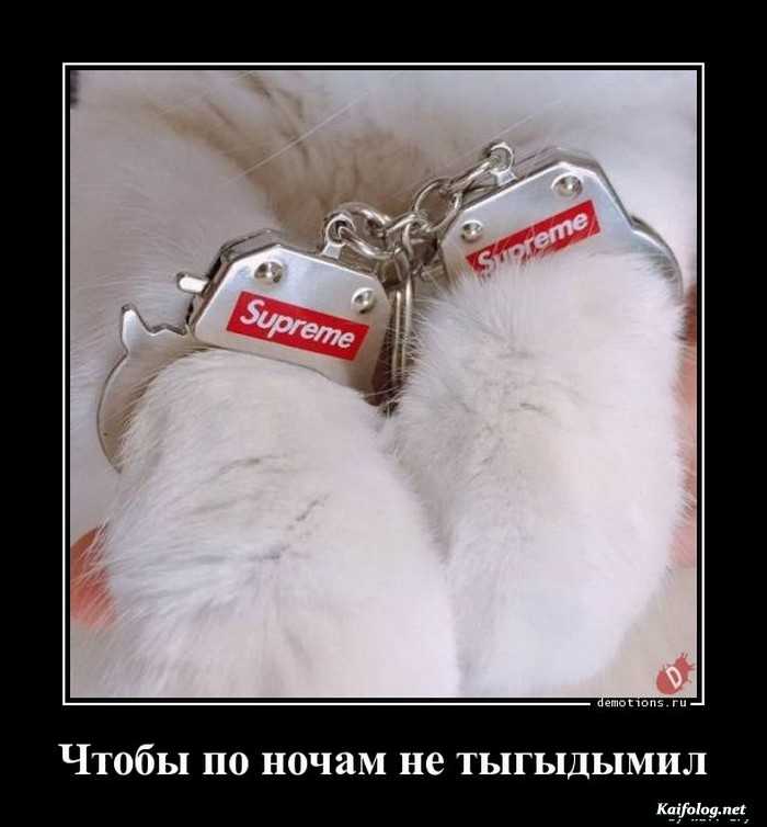 демотиватор картинка