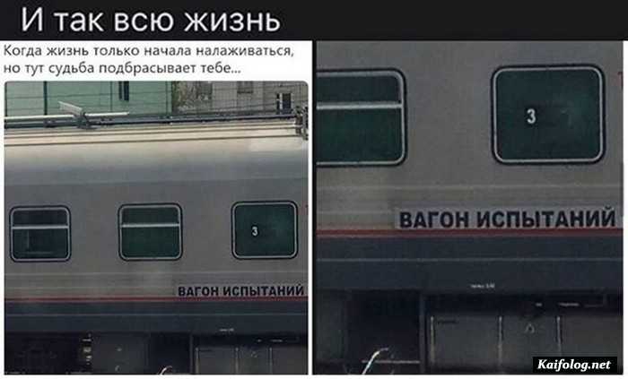 фото прикол