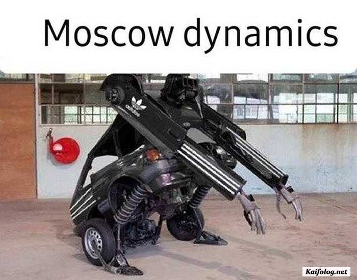 фото прикол