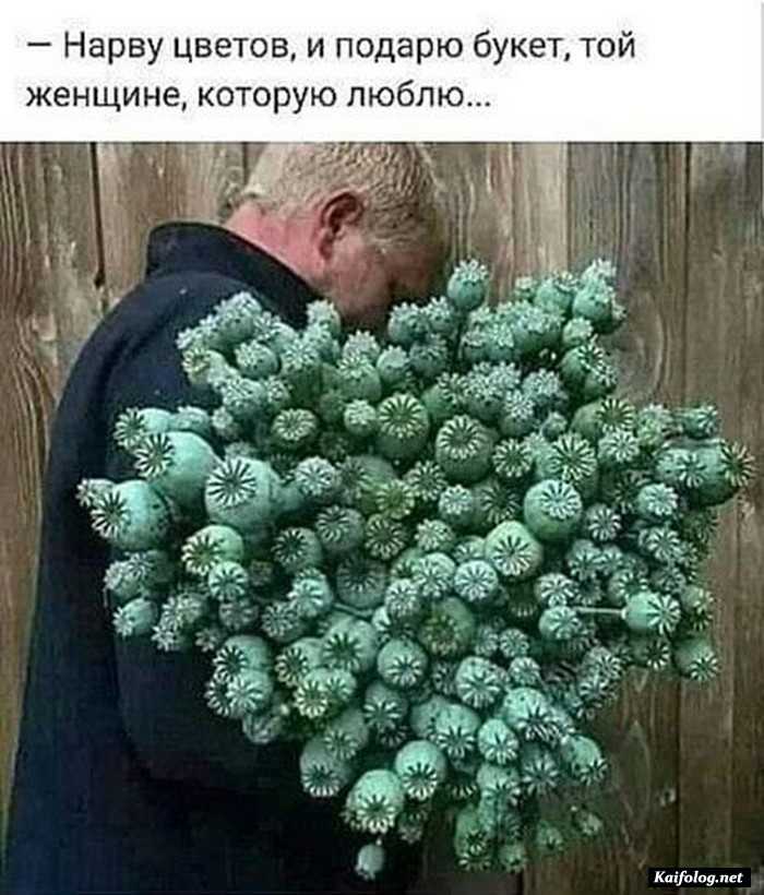 фото прикол
