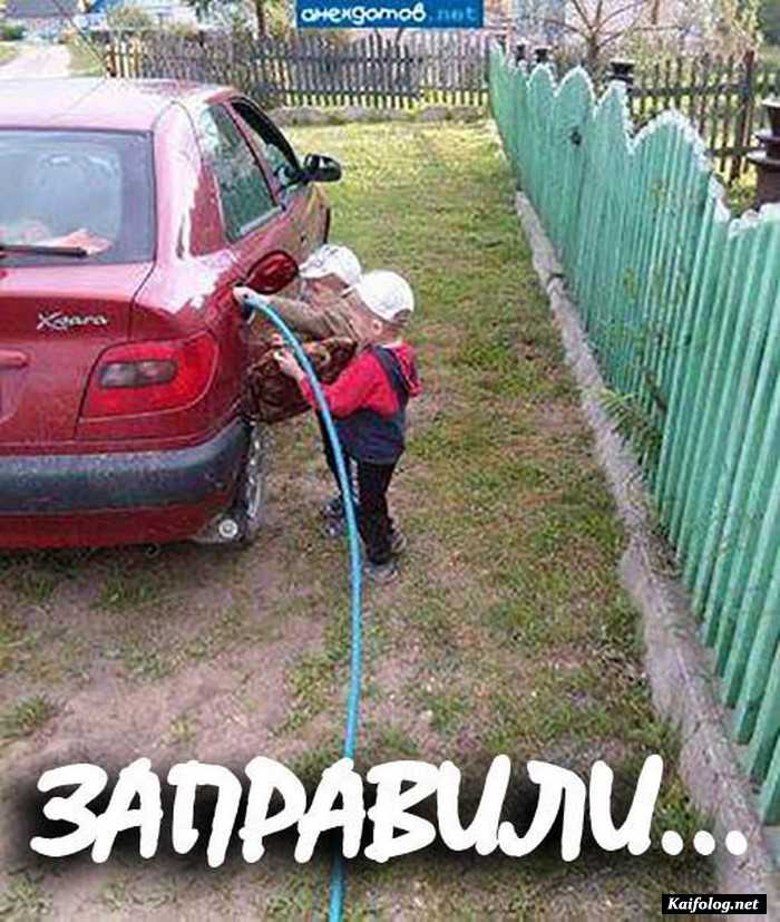 фото прикол