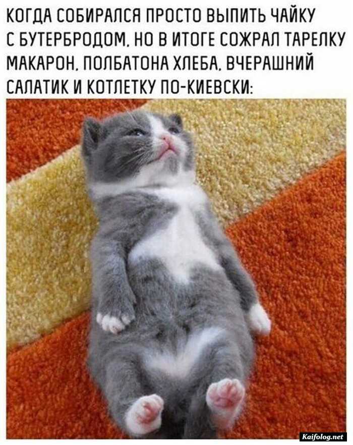 фото прикол