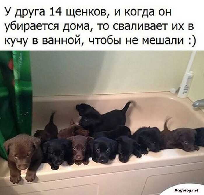 фото прикол