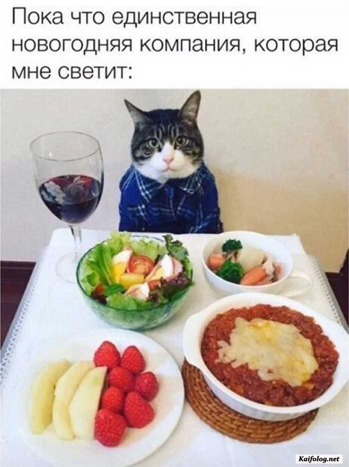 фото прикол