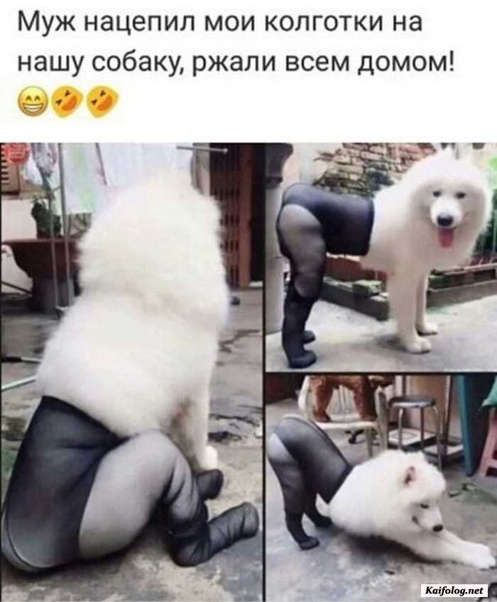 фото прикол