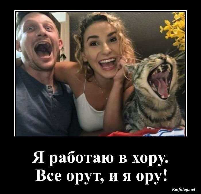 демотиватор веселый