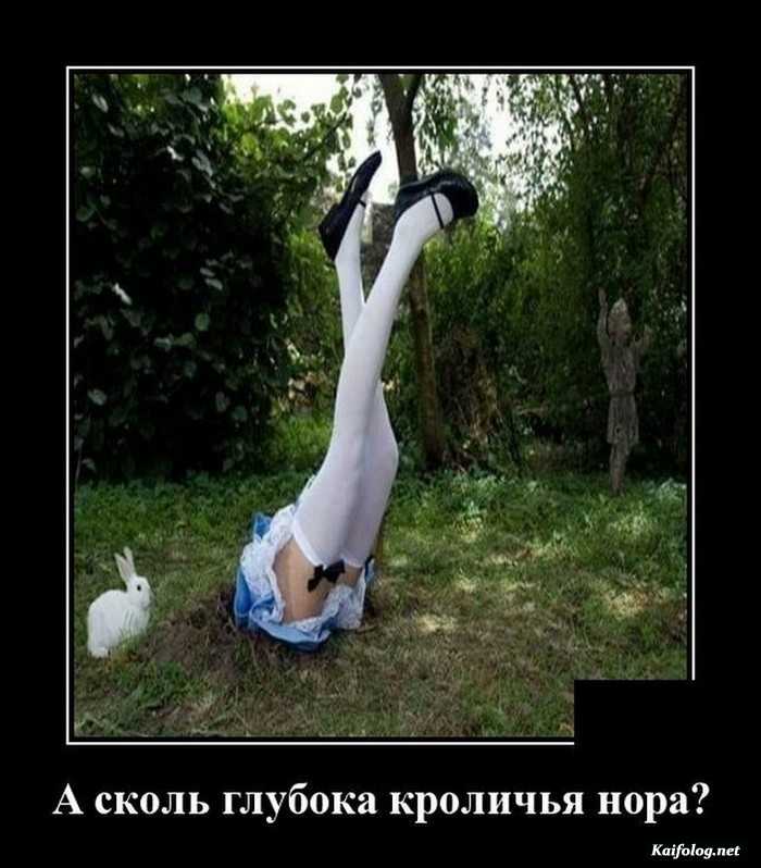 демотиватор веселый