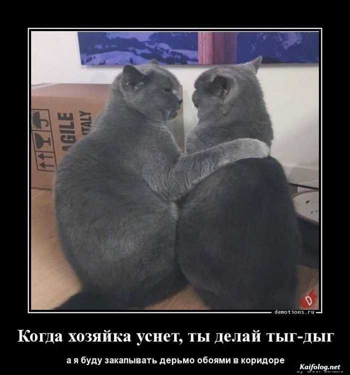 демотиватор веселый