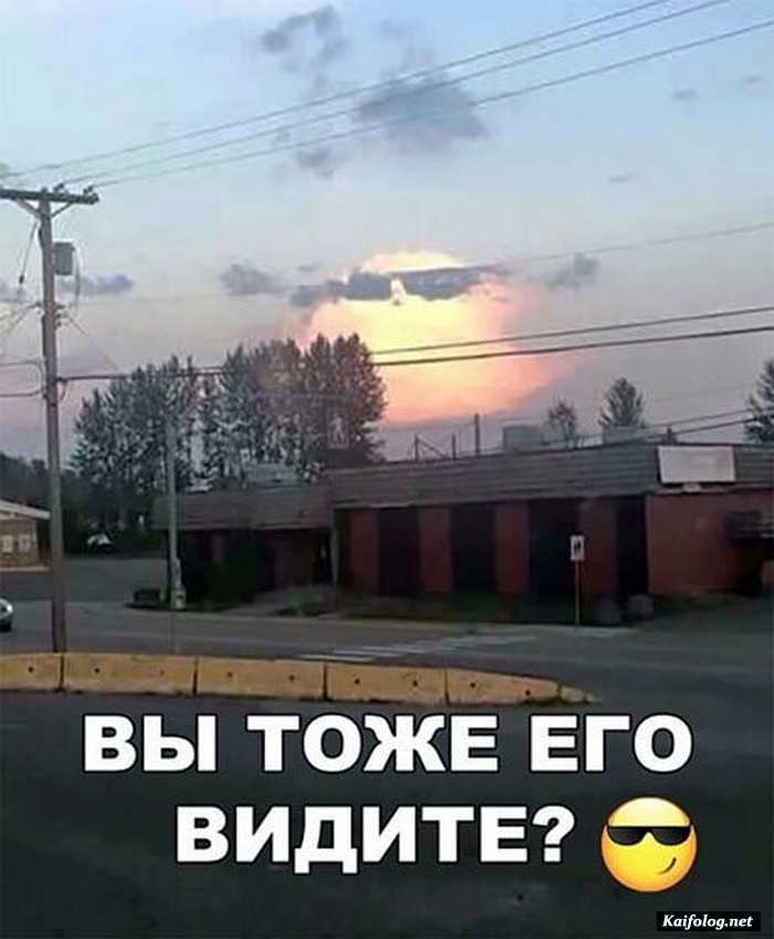 прикол фото