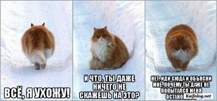прикол фото