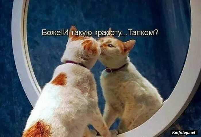 прикол фото