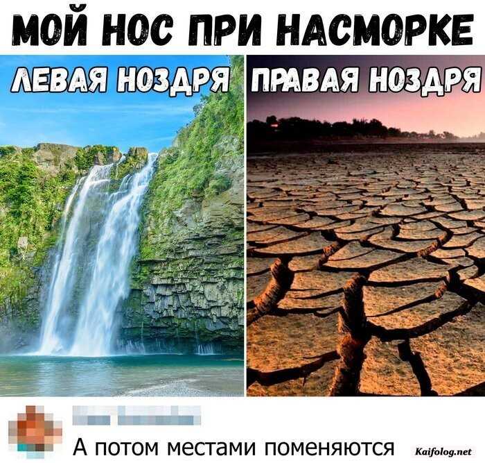 картинка прикол